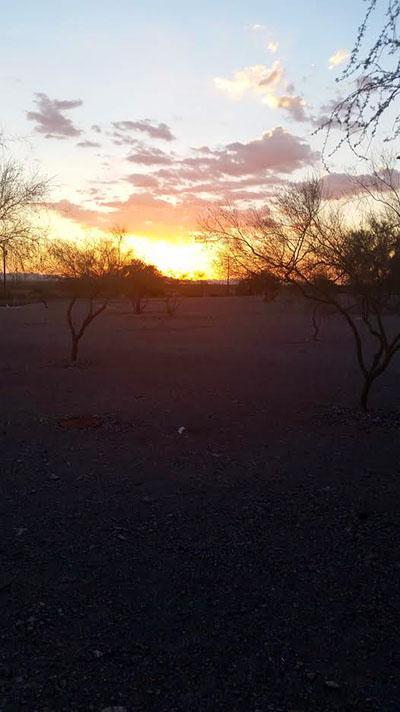 Gorgeous sunset in the Mojave desert.