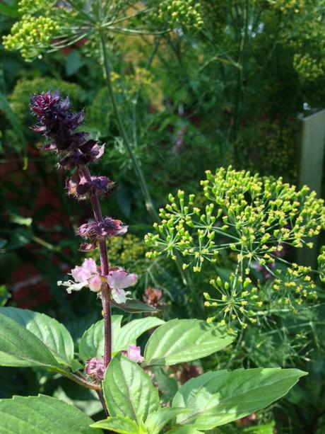 Into the Garden: Vegetables 