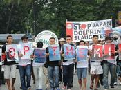 Dolphin Butchering Time Again Japan Sparks Protest Phillippines