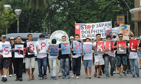 Dolphin butchering time again in Japan – sparks protest in Phillippines