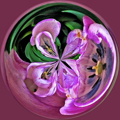 Post Processing Abstracts 5