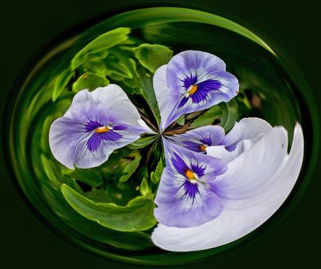 Post Processing Abstracts 5