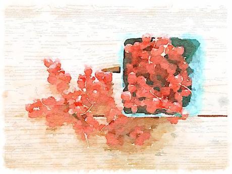 Painted in Waterlogue