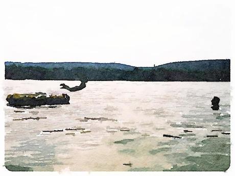 Painted in Waterlogue