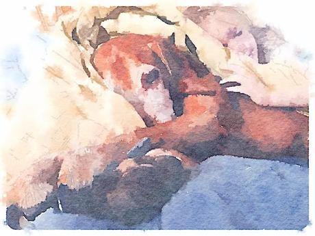 Painted in Waterlogue