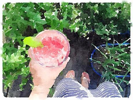 Painted in Waterlogue