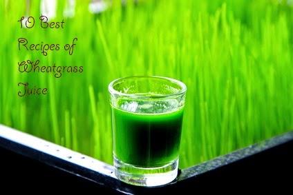 10 Best Recipes of Wheatgrass Juice