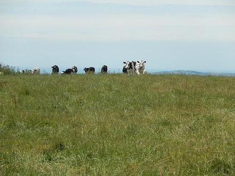 Dorset Coastal Walk (Part 2)