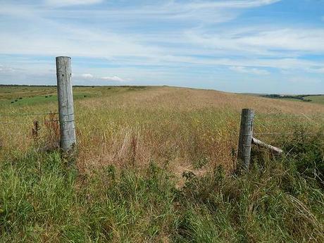 Dorset Coastal Walk (Part 2)