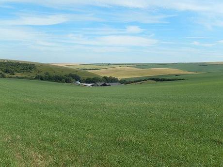 Dorset Coastal Walk (Part 2)