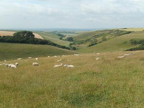 Dorset Coastal Walk (Part 2)