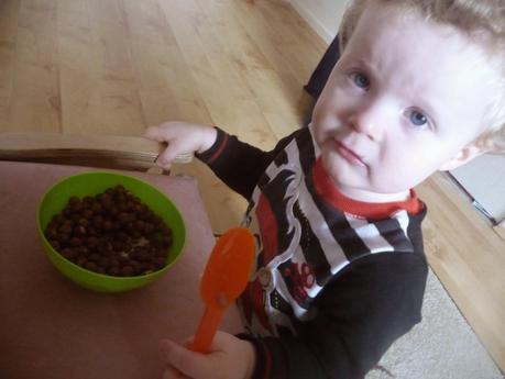 Nature's Path Organic Range Nature's Path Organic Range