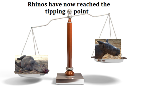 Rhino tipping point