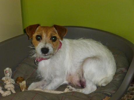 Using It All - No Spend