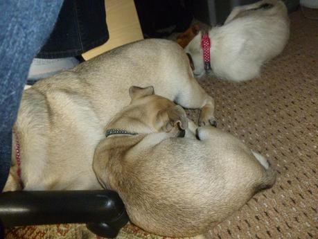 Using It All - No Spend