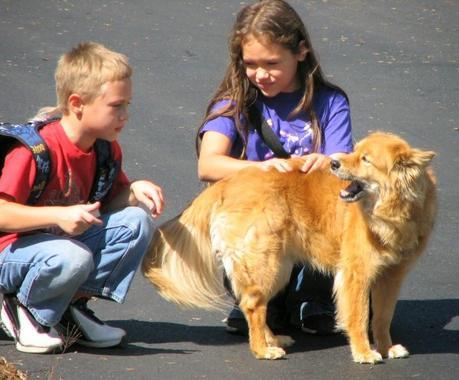 Dog's suffer from separation anxiety during back to school