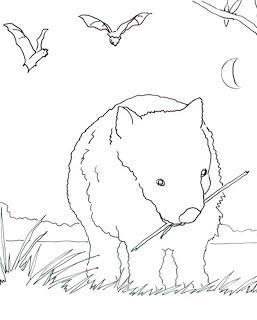 WOMBAT Coloring Page