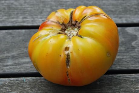 Wilder Pictures: What to Do with Summer Vegetables (and) Harvesting Lavender