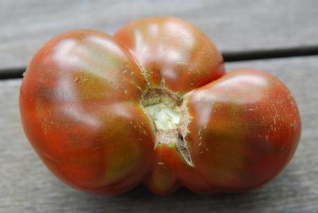 Wilder Pictures: What to Do with Summer Vegetables (and) Harvesting Lavender