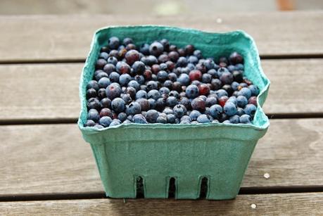 Wilder Pictures: What to Do with Summer Vegetables (and) Harvesting Lavender