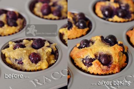 Stir-and-Bake Flourless Almond Blueberry Apple Muffins (Gluten Free, Low Fat and Low Sugar)
