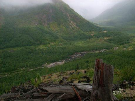 Goat Mountain and Green River Valley, edge of the Mt. St. Helens Blast Zone