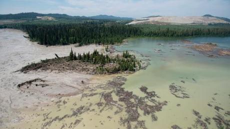 Former Hazeltine Creek and Quesnel Lake after the Mount Polley tailing dam breach