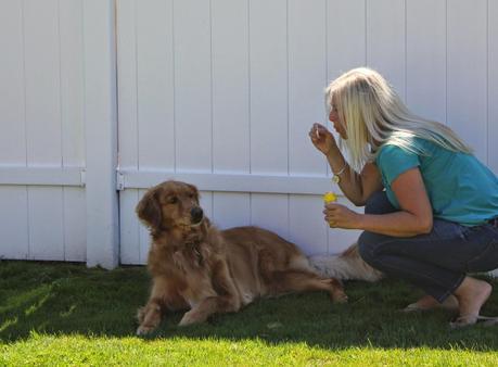 Three Dogs and a Bottle of Bubbles