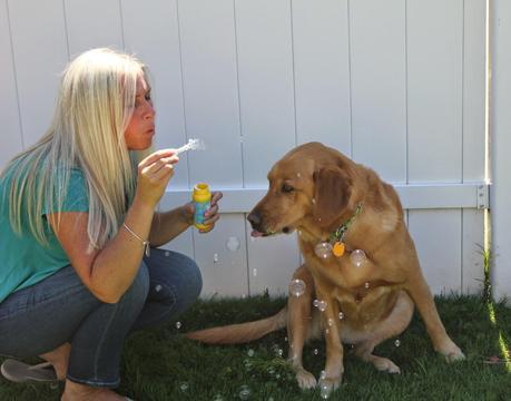 Three Dogs and a Bottle of Bubbles