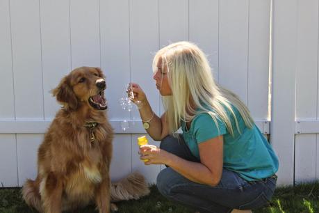 Three Dogs and a Bottle of Bubbles