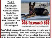 Army National Guard's Suspected Stolen Still Missing