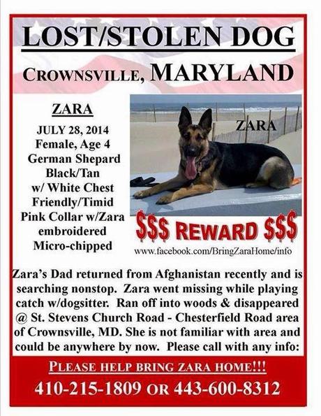 Army National Guard's dog suspected stolen and still missing