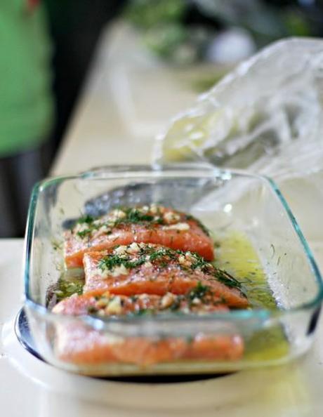 salmon recipe