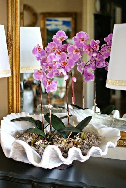 50 Favorites for Friday #143