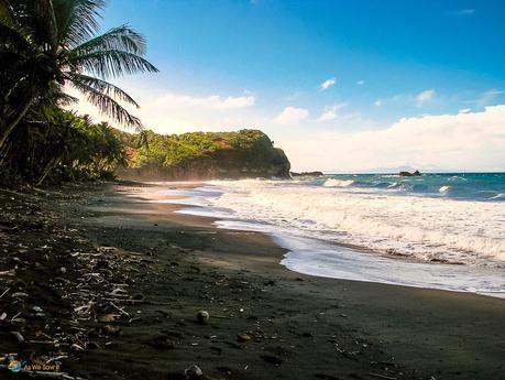 black sand Hampstead beach, fringed by rainforest and coconut palms