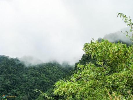 Visiting Dominica for the First Time