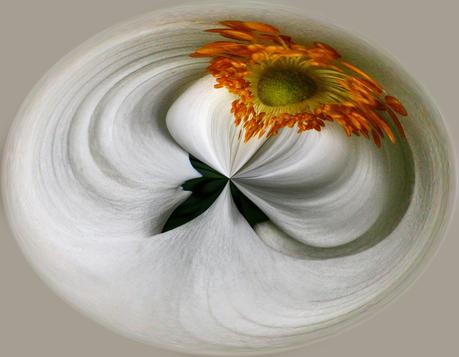 Florals  [Orange You Glad It’s Friday]