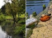 Washington Wetland Centre,