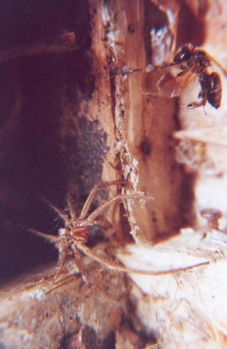 'Sum of Their Parts' Ends Tomorrow 'Sum of Their Parts' Ends Tomorrow