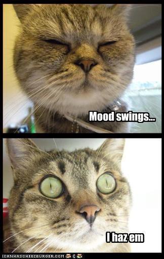 September Blogging Challenge: Days 1-7