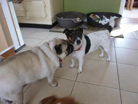 A Message from Mavis