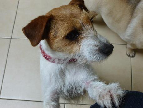 A Message from Mavis