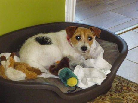 A Message from Mavis