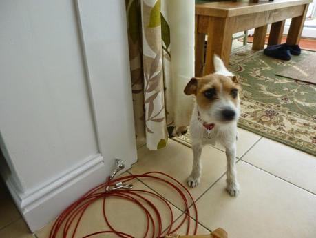 A Message from Mavis