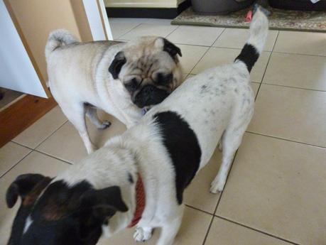 A Message from Mavis