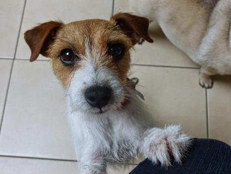 A Message from Mavis