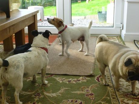 A Message from Mavis