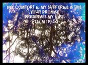 Word Week Psalm 119:50