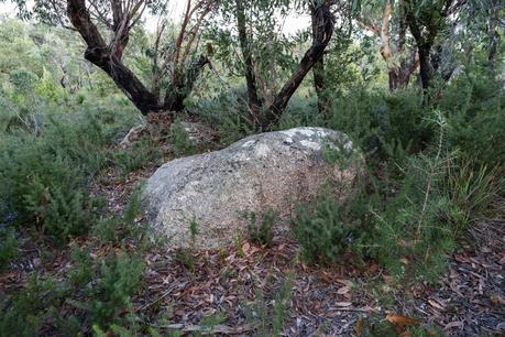 granite rock wilsons promontory