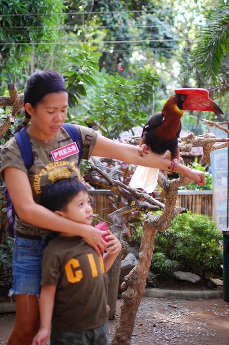 Kinder Zoo Jungle Adventure: a fun and interactive experience with endangered animals